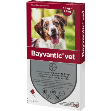 BAYVANTIC VET paikallisvaleluliuos 1250/250 mg koirille 10–25 kg 4 x 2.5 ml