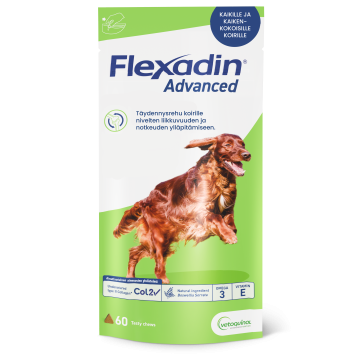 Flexadin advanced purutabl 60 purutabl